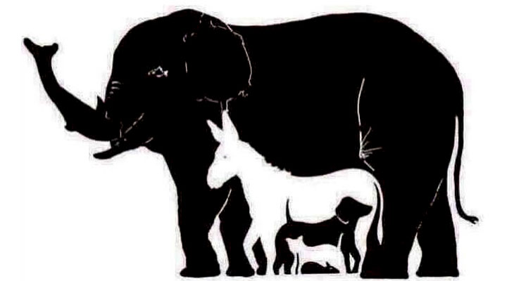 Шесть советов по выбору обручальных колец