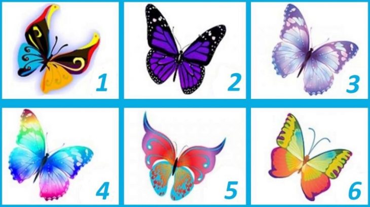 Выбранная вами бабочка раскроет все аспекты вашей личности.