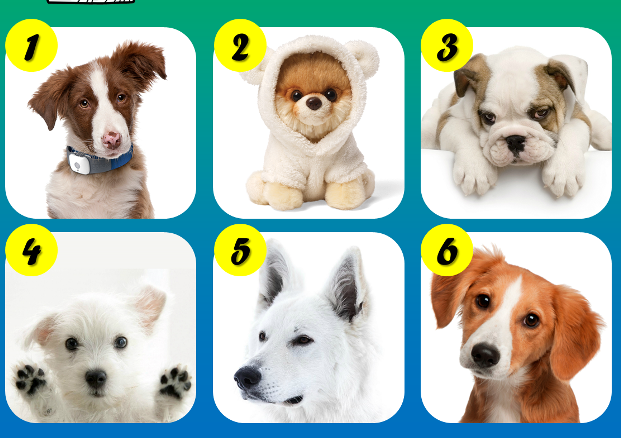 Доставка цветов в Херсоне