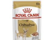 Насколько важен для собаки влажный корм?