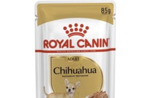 Насколько важен для собаки влажный корм?