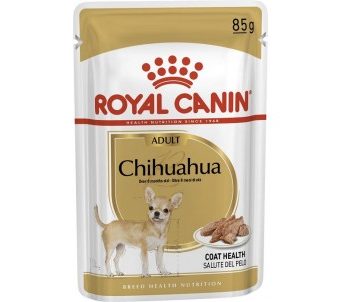 Насколько важен для собаки влажный корм?