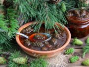 В чем заключаются полезные свойства варенья из сосновых шишек?