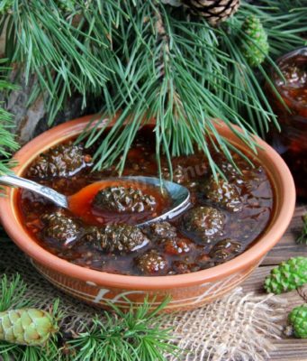 В чем заключаются полезные свойства варенья из сосновых шишек?