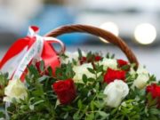 Преимущества цветов в корзинках