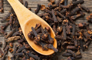 Гвоздика: удивительное пряное растение, все части которой обладают чудесным запахом