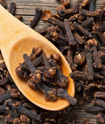 Гвоздика: удивительное пряное растение, все части которой обладают чудесным запахом