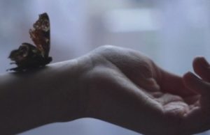 Доверие: очень ценная, но хрупкая субстанция