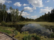 Семейный поход в Лосиный остров: идеальный выходной в кругу семьи