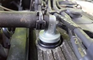 Сапун: описание и назначение