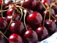 Где купить ягоды свежей черешни в Спб?