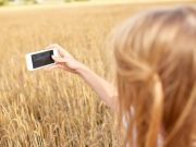 В России оцифруют сорняки