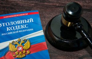 Адвокат Слезкина объяснила, почему нельзя выращивать дома «вьюнок»