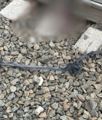 СК: подросток, погибший по пути на рыбалку, задел удочкой провод на ж/д случайно