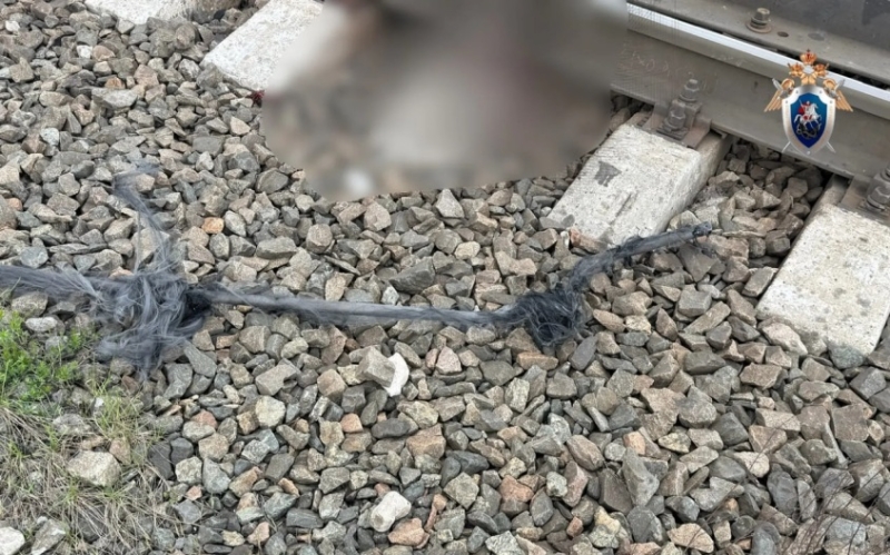 СК: подросток, погибший по пути на рыбалку, задел удочкой провод на ж/д случайно
